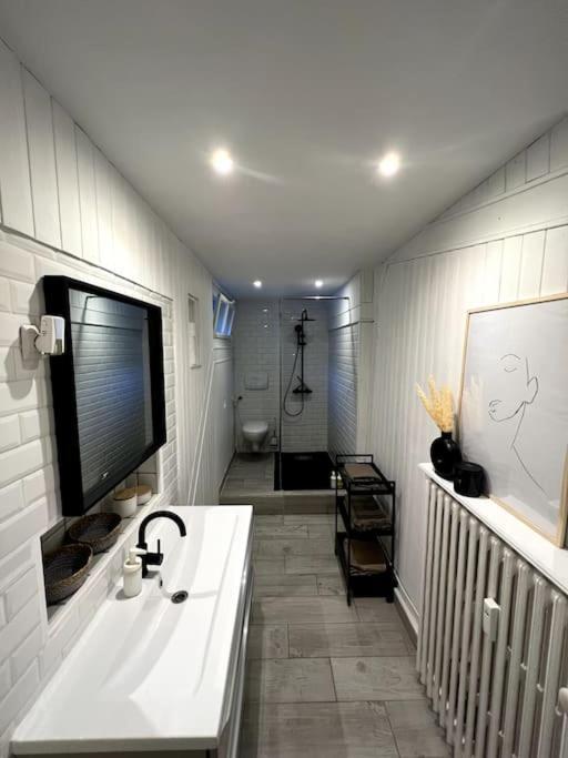 Superbe Duplex En Hyper Centre Apartment Saint-Etienne  Ngoại thất bức ảnh