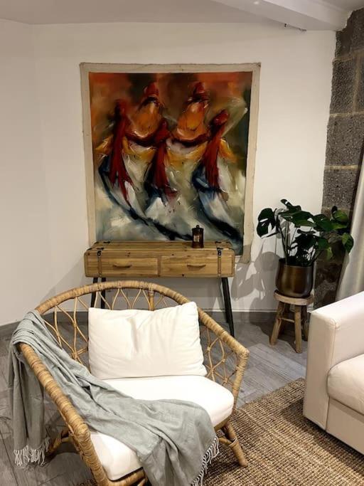 Superbe Duplex En Hyper Centre Apartment Saint-Etienne  Ngoại thất bức ảnh