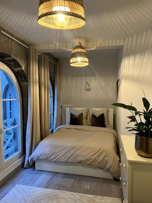 Superbe Duplex En Hyper Centre Apartment Saint-Etienne  Ngoại thất bức ảnh